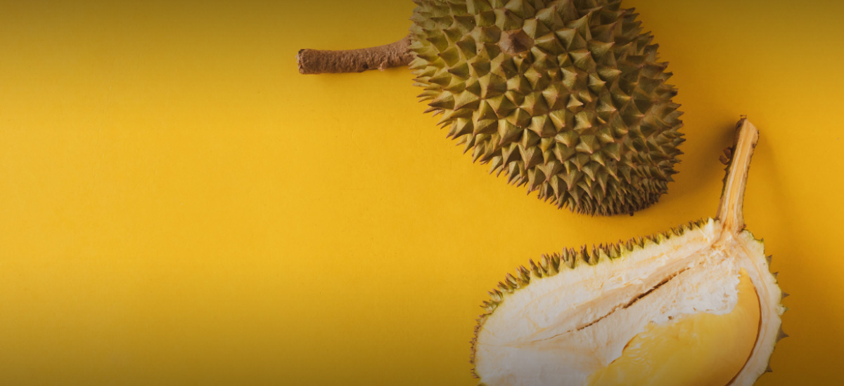 3 myths about durians a durian-lover must know